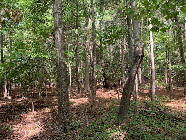 D Cheriton Cross Road, Unit D Cape Charles, VA 23310 - Photo 29 of 37