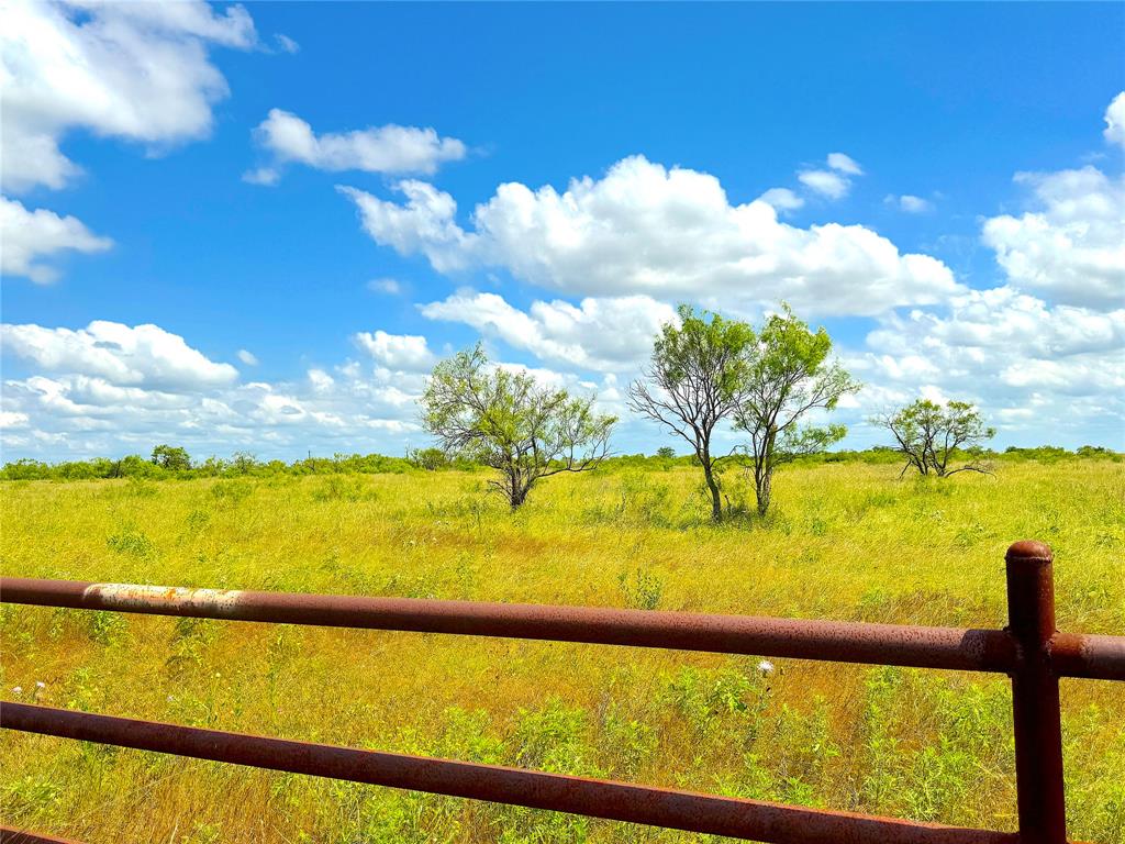2091 Fm-52 Perrin, TX 76486 - Photo 19 of 23 a view of an ocean from a beach