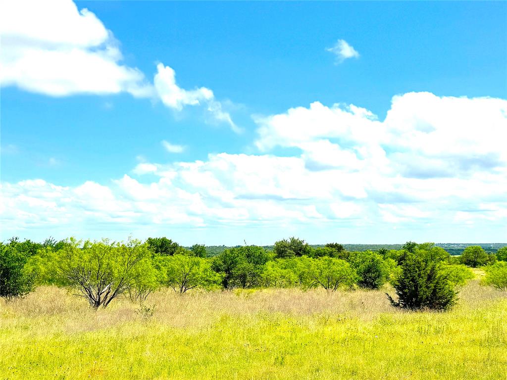 2091 Fm-52 Perrin, TX 76486 - Photo 3 of 23 a view of lake with green space