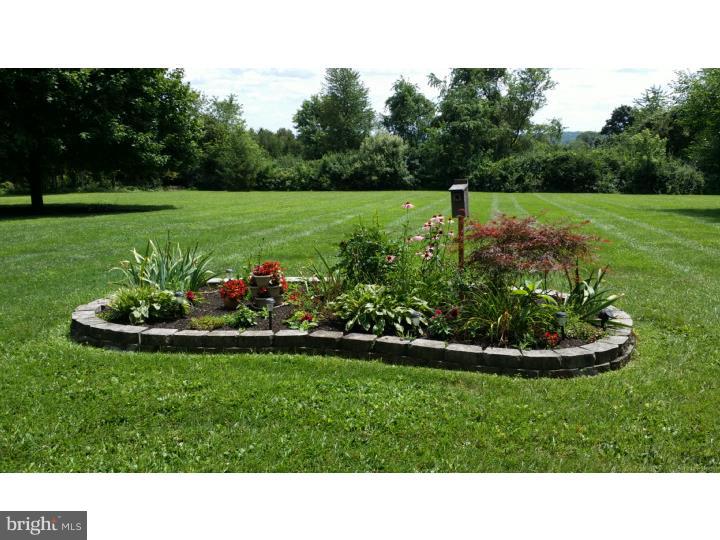 1328 Pleasant View Road Coopersburg, PA 18036 - Photo 14 of 23 Back Yard