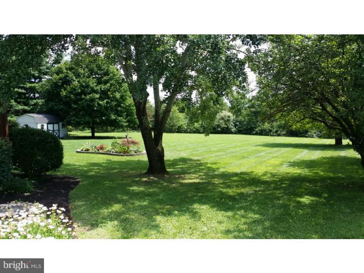1328 Pleasant View Road Coopersburg, PA 18036 - Photo 21 of 23 Back Yard