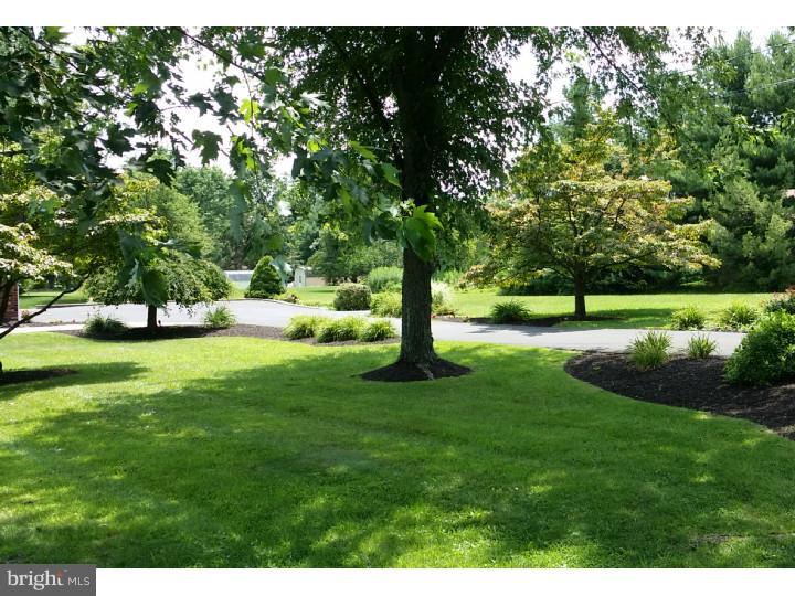 1328 Pleasant View Road Coopersburg, PA 18036 - Photo 22 of 23 Driveway