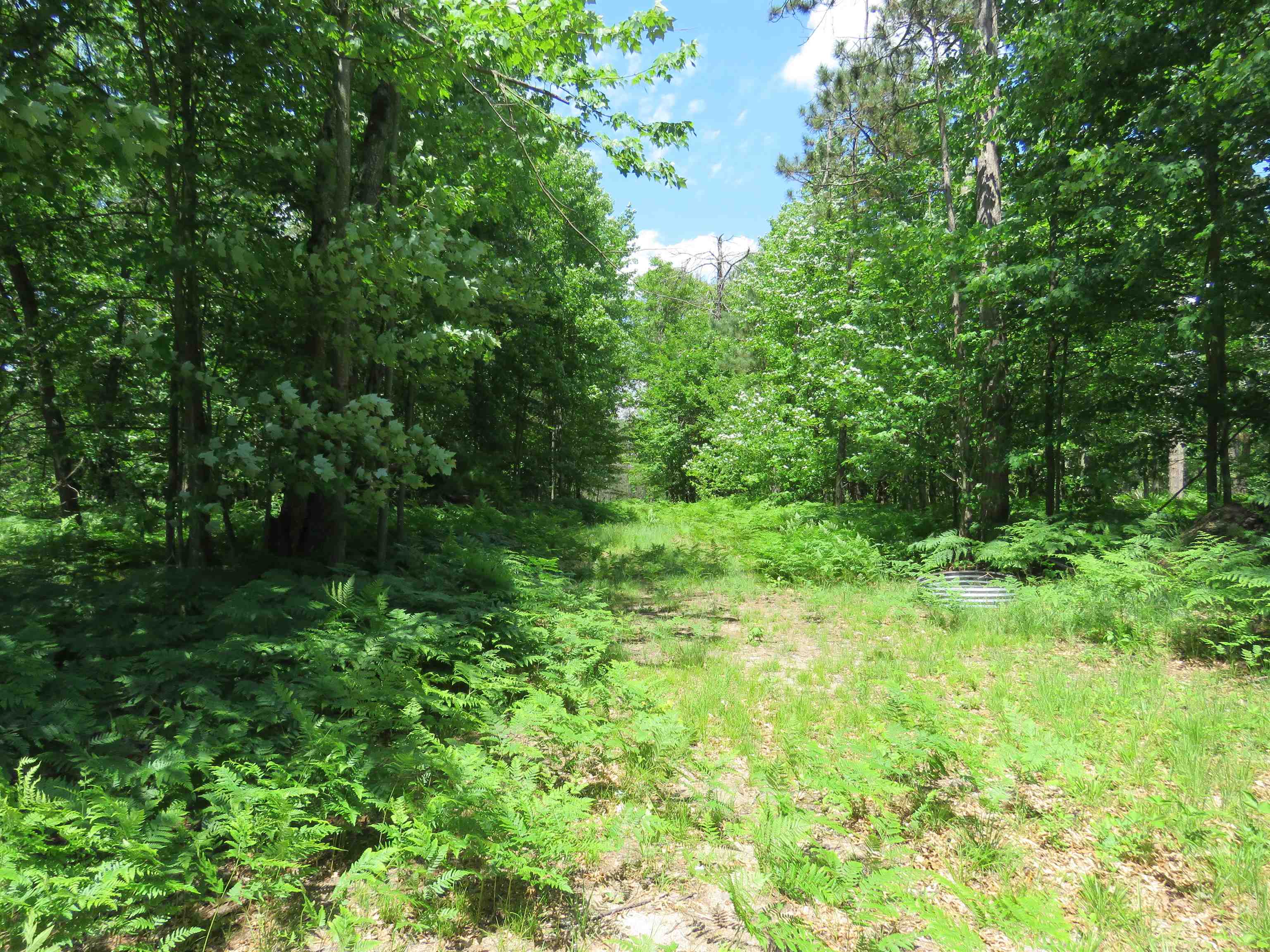 10420 West Rosted Road Lake City, MI 49651 - Photo 7 of 11