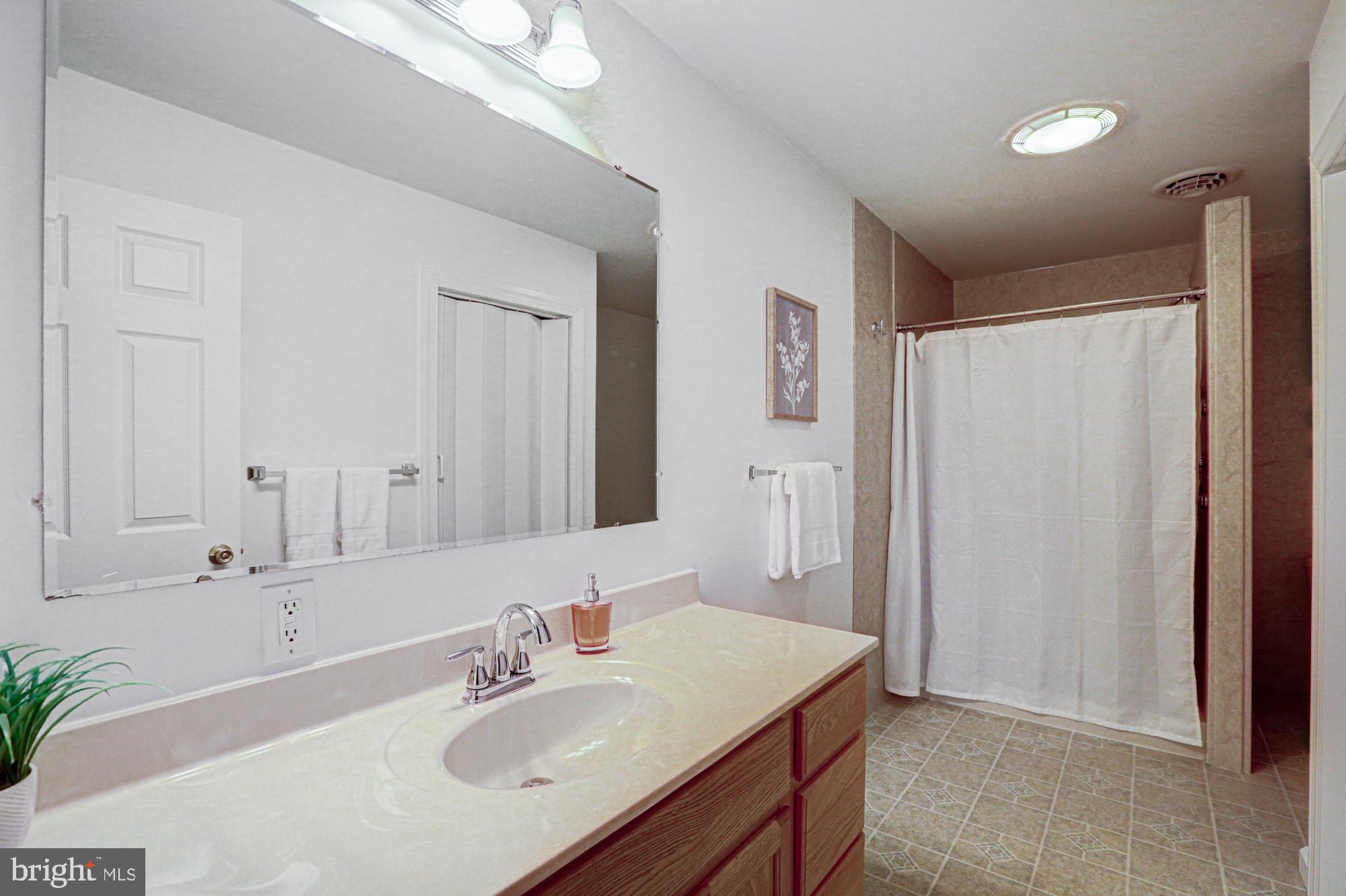 562 Black Swamp Road Felton, DE 19943 - Photo 34 of 76 Primary Bathroom