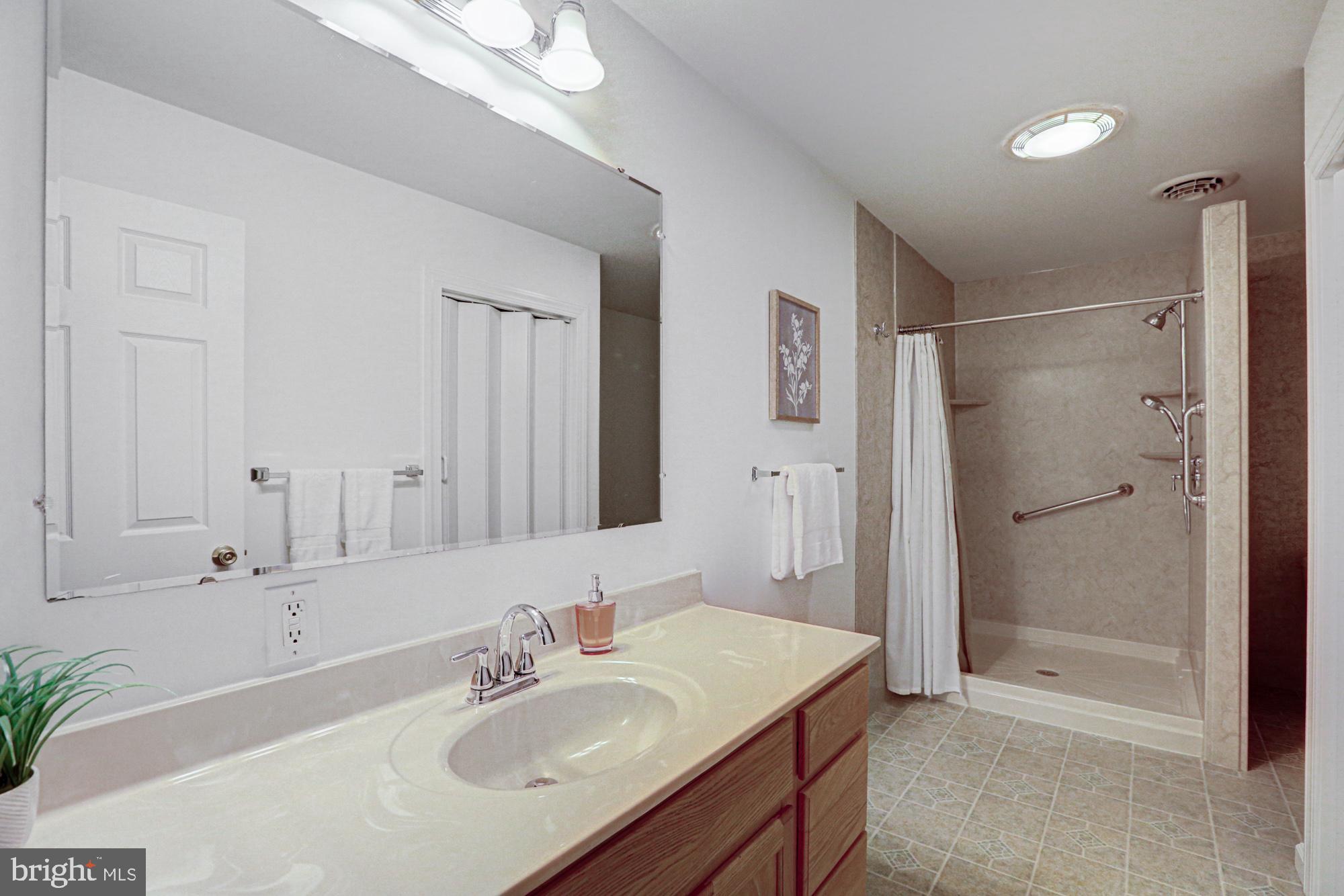 562 Black Swamp Road Felton, DE 19943 - Photo 35 of 76 Primary Bathroom