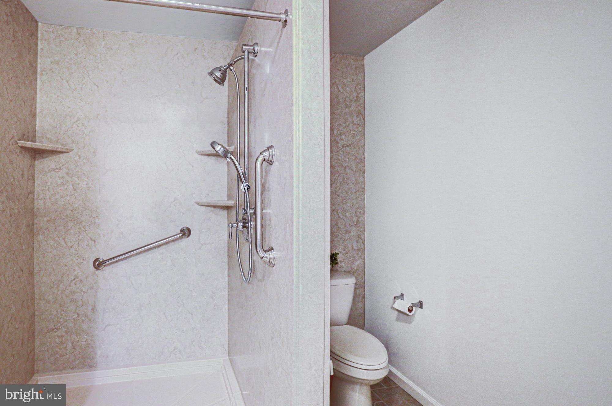 562 Black Swamp Road Felton, DE 19943 - Photo 36 of 76 Primary Bathroom