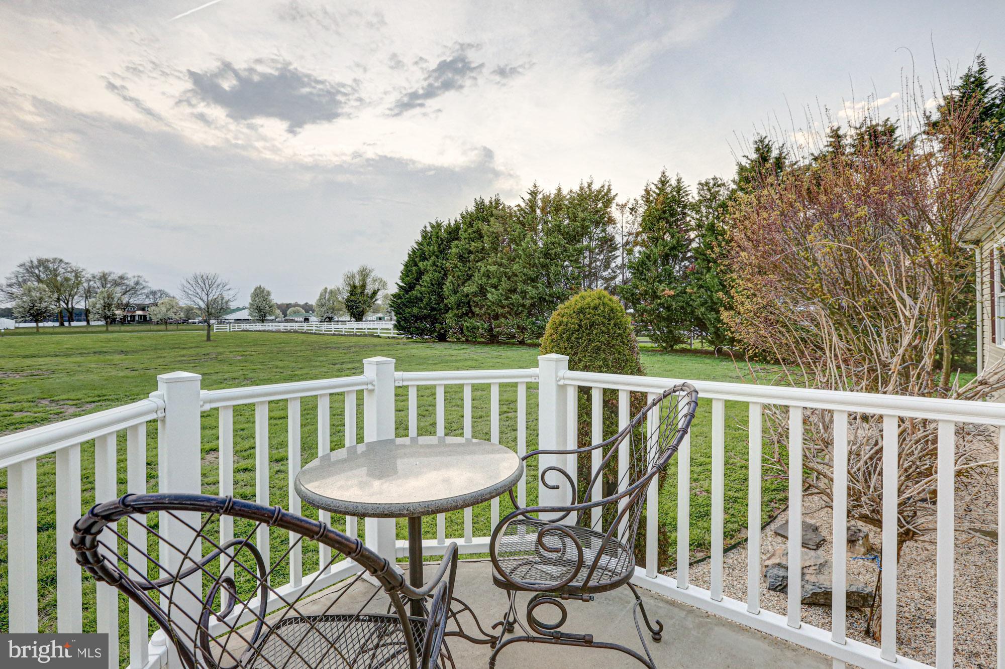 562 Black Swamp Road Felton, DE 19943 - Photo 53 of 76 Deck
