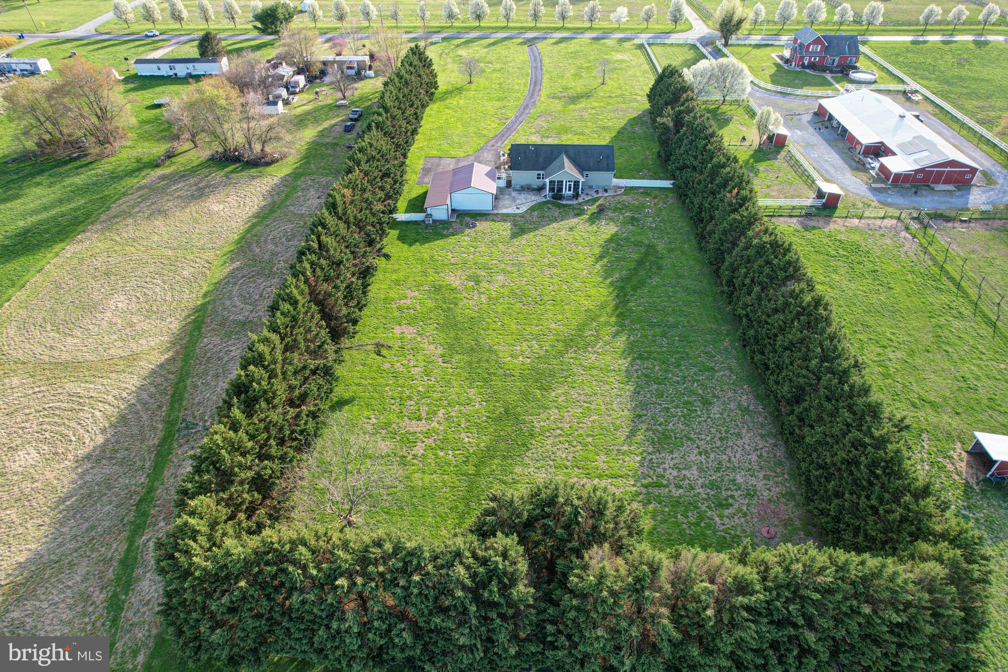 562 Black Swamp Road Felton, DE 19943 - Photo 69 of 76 Private Yard