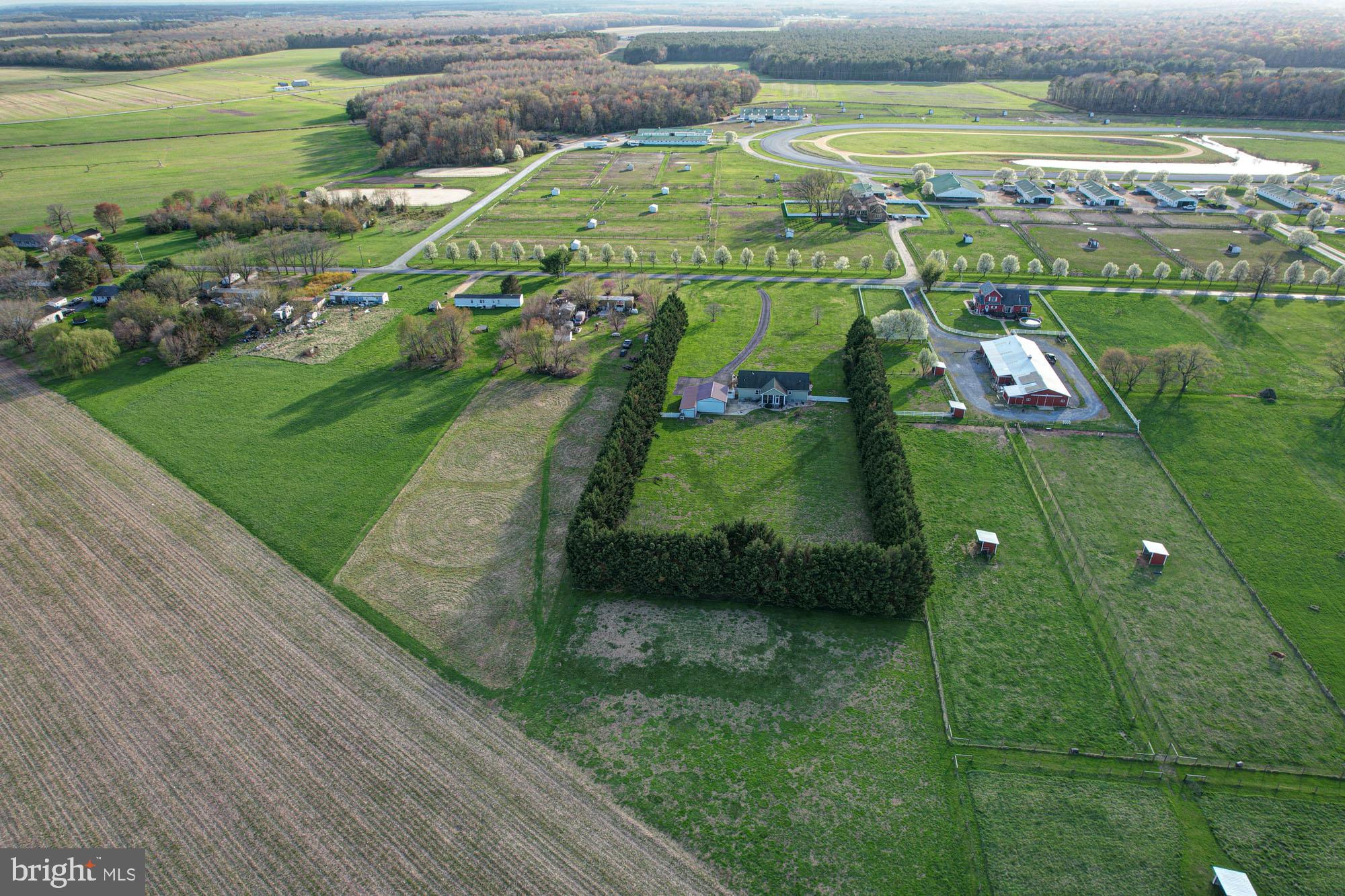 562 Black Swamp Road Felton, DE 19943 - Photo 70 of 76 Private Yard