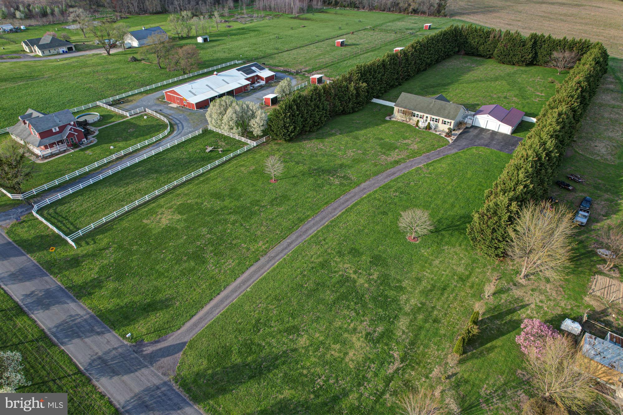 562 Black Swamp Road Felton, DE 19943 - Photo 72 of 76 Private Yard