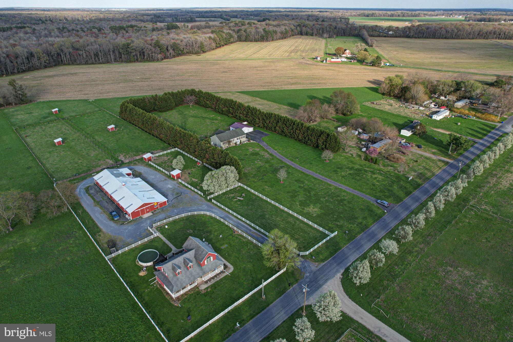 562 Black Swamp Road Felton, DE 19943 - Photo 73 of 76 Private Yard