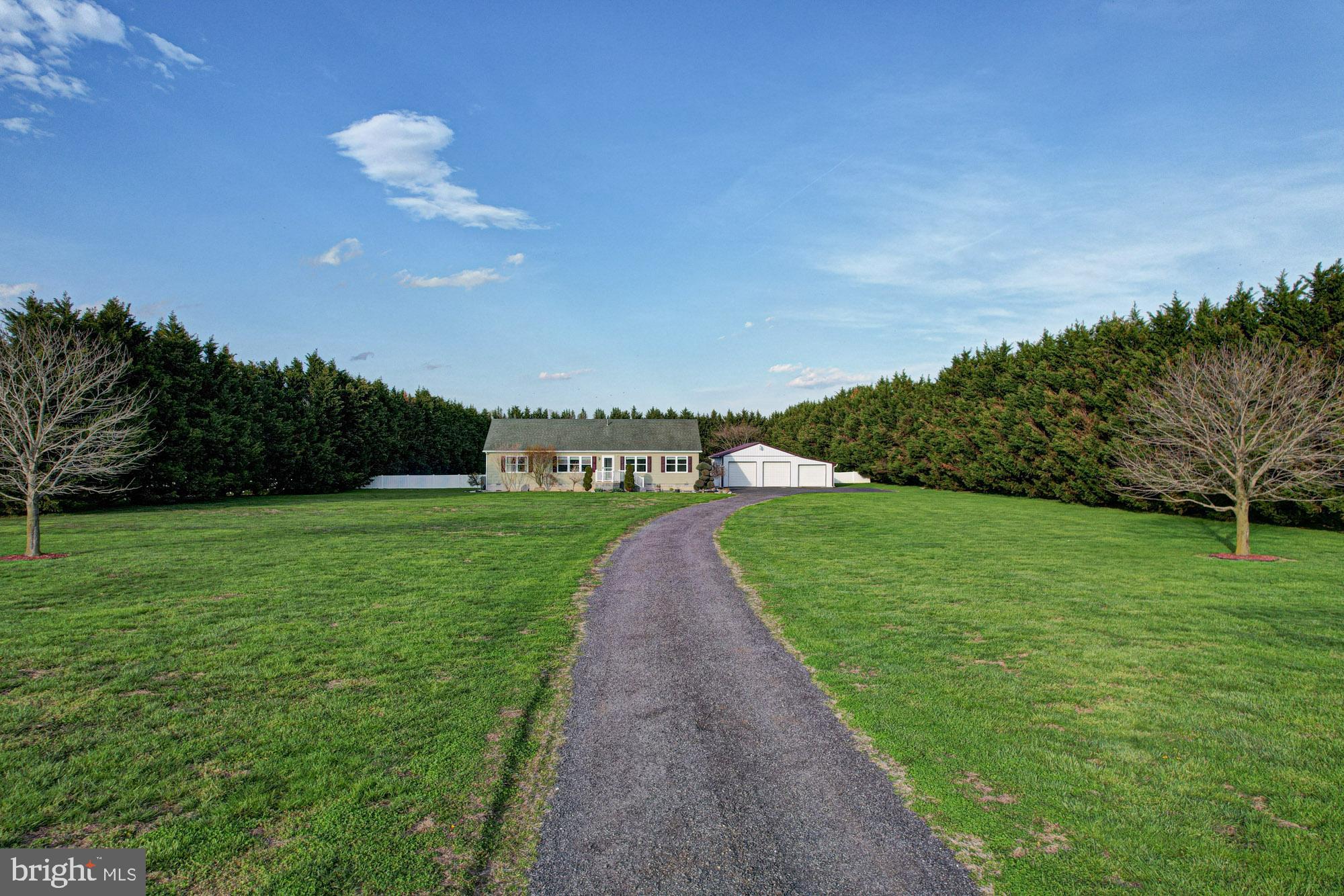 562 Black Swamp Road Felton, DE 19943 - Photo 76 of 76 Driveway