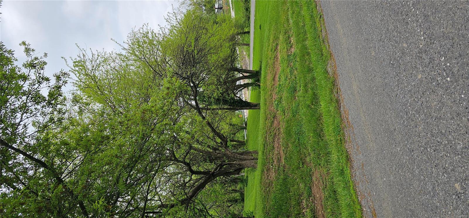 55 Sycamore Street Grafton, IL 62037 - Photo 4 of 8