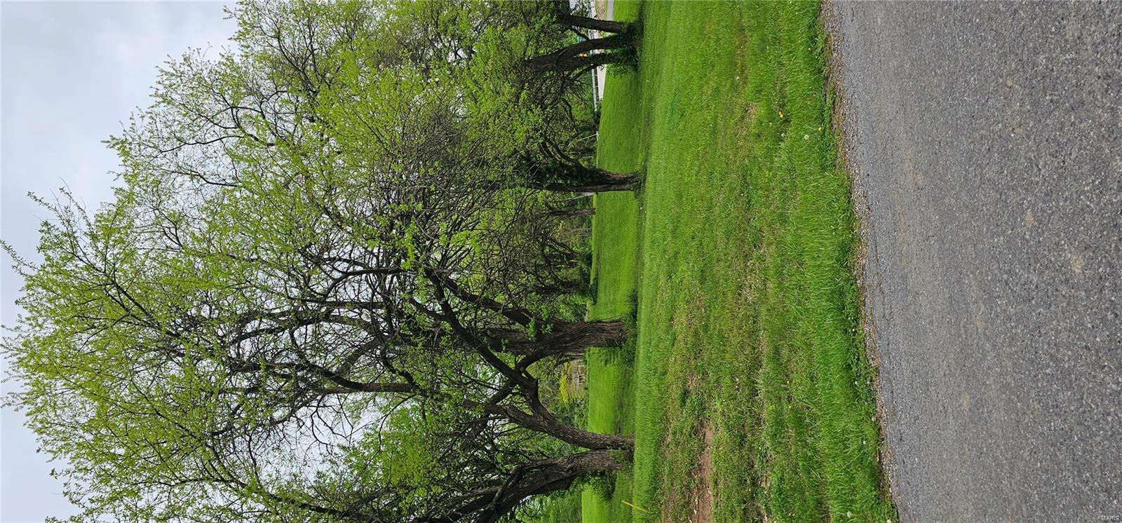 55 Sycamore Street Grafton, IL 62037 - Photo 5 of 8