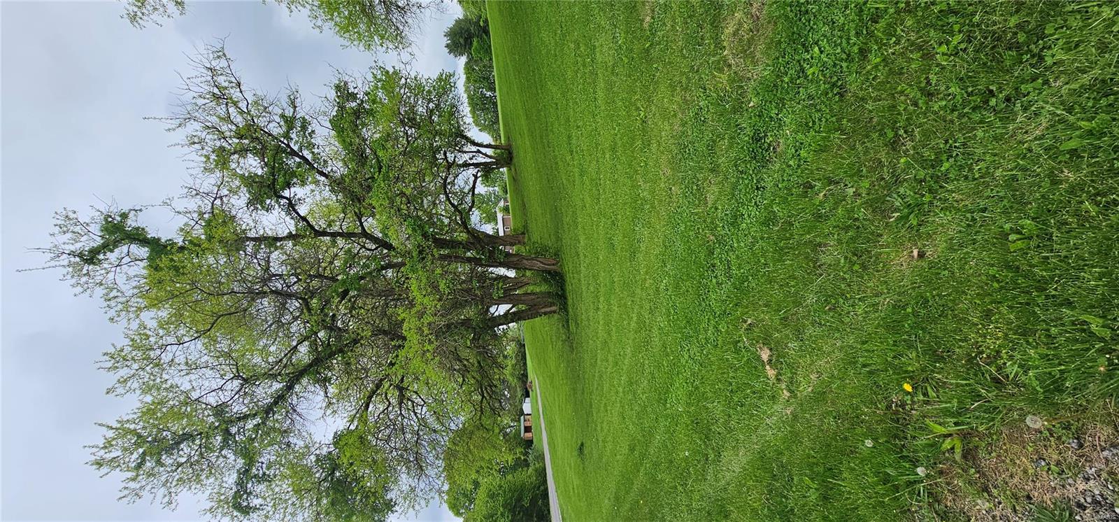 55 Sycamore Street Grafton, IL 62037 - Photo 8 of 8