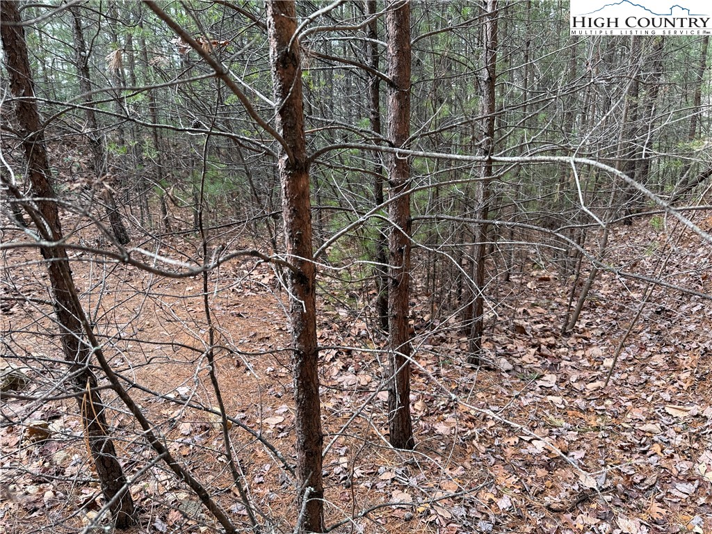 Lot 19 Wolf Pen Road Purlear, NC 28665 - Photo 12 of 46 a picture of a street