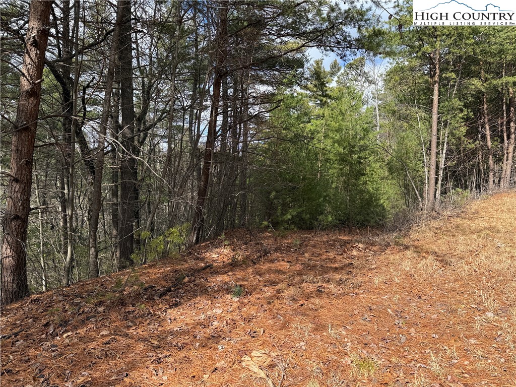 Lot 19 Wolf Pen Road Purlear, NC 28665 - Photo 6 of 46