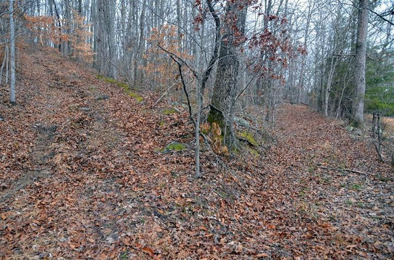 1709 Macedonia Road Irvine, KY 40336 - Photo 74 of 87 Take the the high road or the low road,