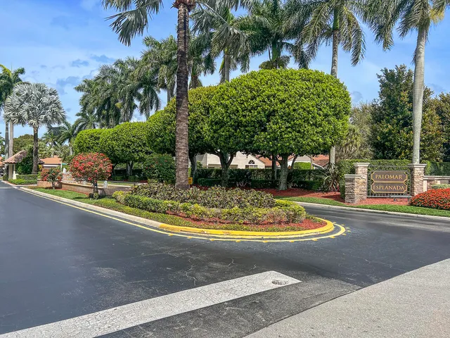 a view of a backyard with palm trees