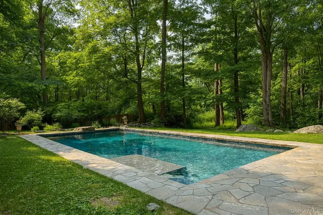 a view of a park with large trees