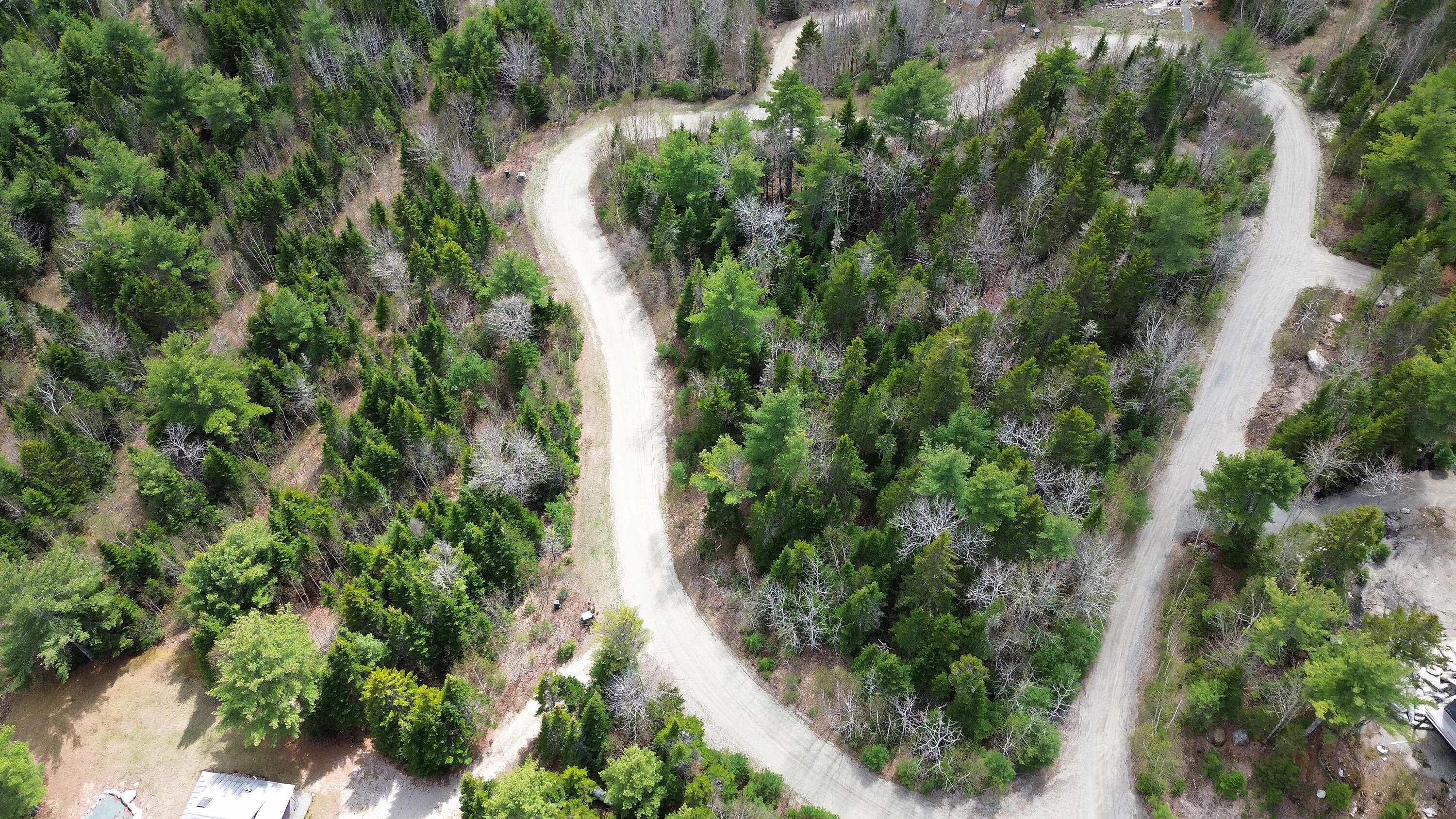 Lot 10 Bailey Mountain Road Franklin, ME 04634 - Photo 3 of 10 LOT10