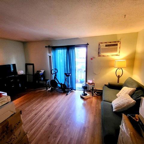 212 Madison Street, Unit 3B Joliet, IL 60435 - Photo 4 of 11 a living room with furniture and wooden floor