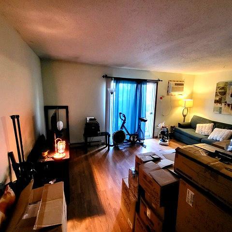 212 Madison Street, Unit 3B Joliet, IL 60435 - Photo 6 of 11 a living room with furniture a window and wooden floor