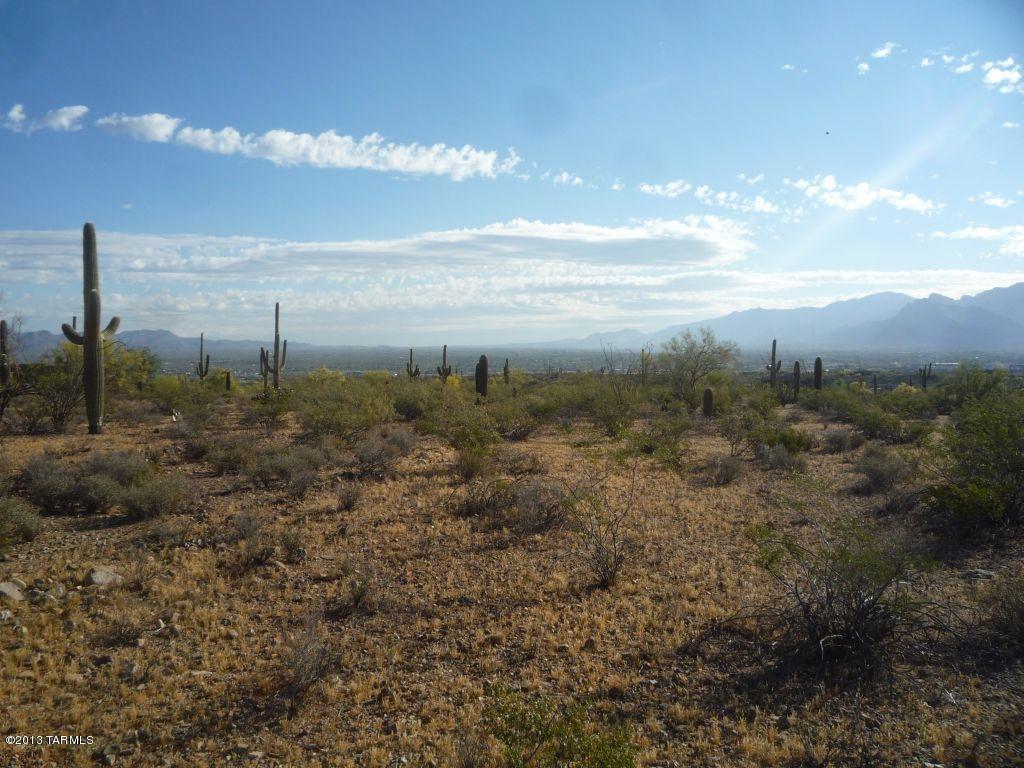 5805 North Abington Road, Unit 117 Tucson, AZ 85743 - Photo 11 of 15