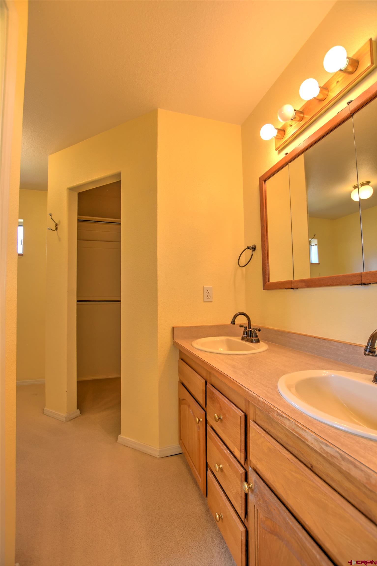 20607 Del Ray Drive Eckert, CO 81418 - Photo 20 of 27 a bathroom with a sink and a mirror