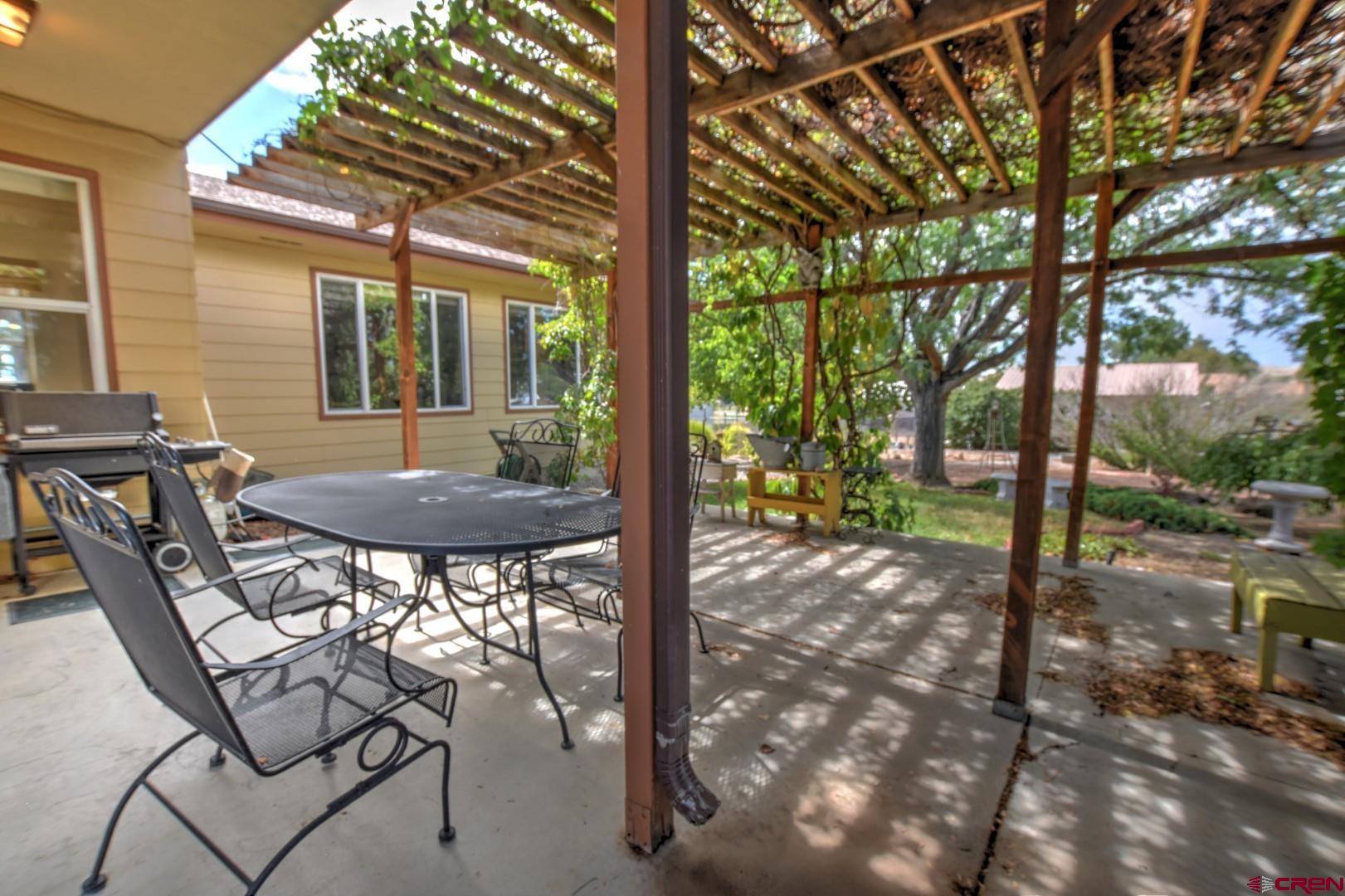 20607 Del Ray Drive Eckert, CO 81418 - Photo 5 of 27 a view of a patio with table and chairs and potted plants