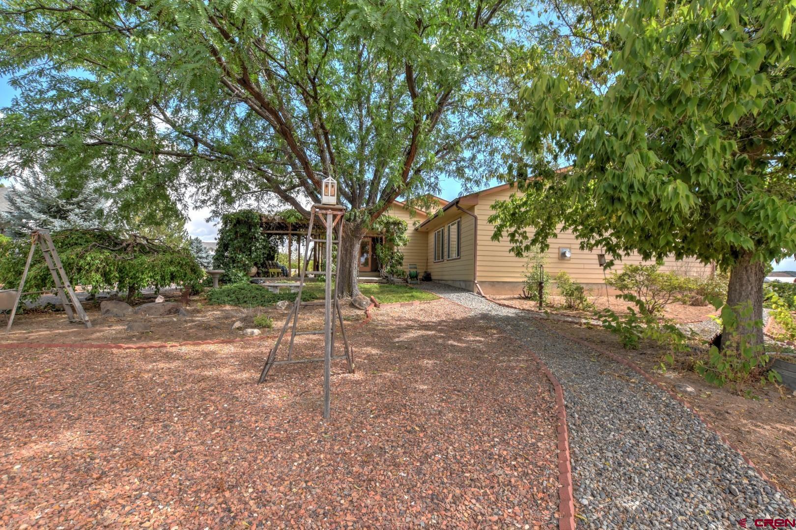 20607 Del Ray Drive Eckert, CO 81418 - Photo 7 of 27 a view of a yard with a tree