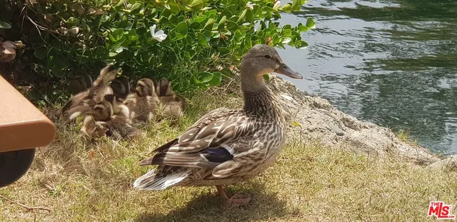 $679,000 | 12310 Summertime Lane, Unit 310, Culver City, CA 90230