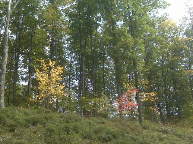 Lot 61 Pine Grove Drive Rhinelander, WI 54501 - Photo 1 of 10 Gallery Image 1