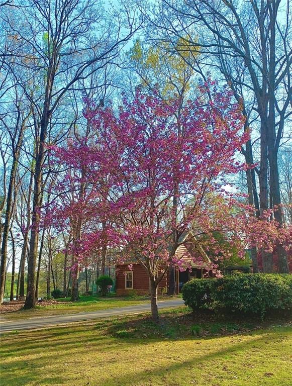 1371 Lipscomb Road Social Circle, GA 30025 - Photo 76 of 82 Gallery Image 76
