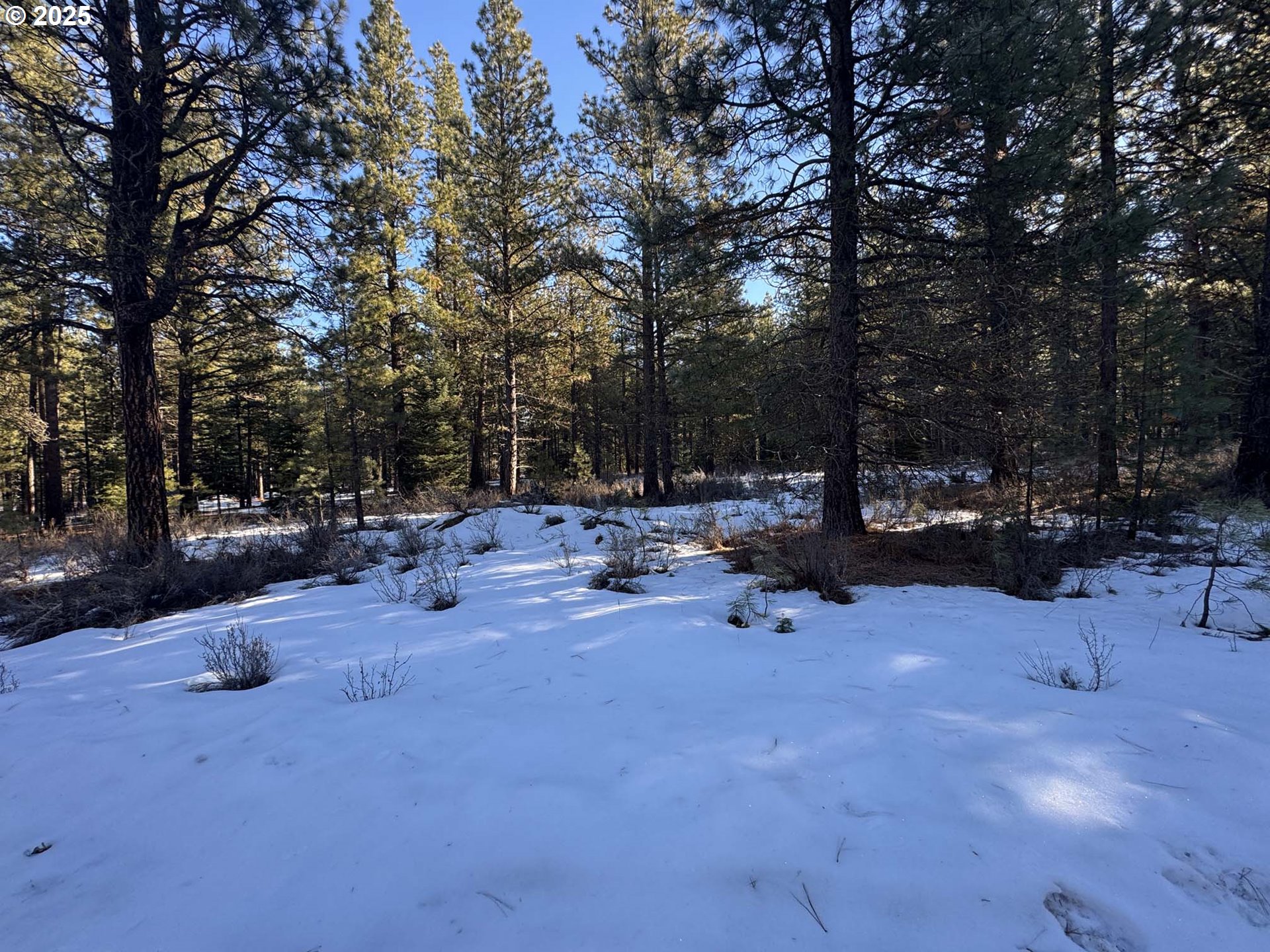 Como Way, Unit 23 Klamath Falls, OR 97601 - Photo 15 of 32