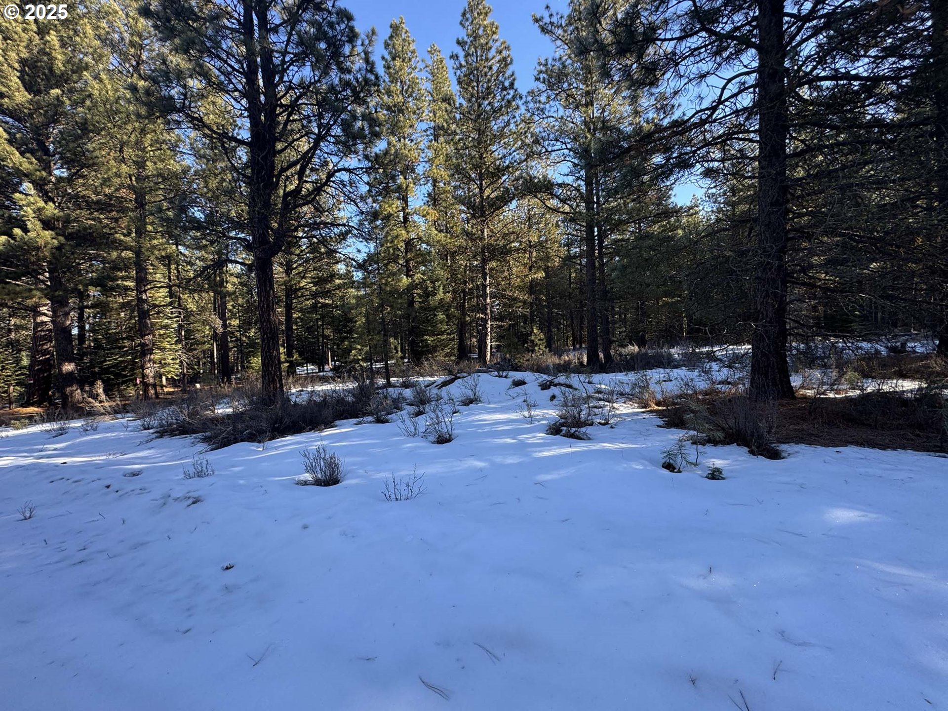 Como Way, Unit 23 Klamath Falls, OR 97601 - Photo 16 of 32