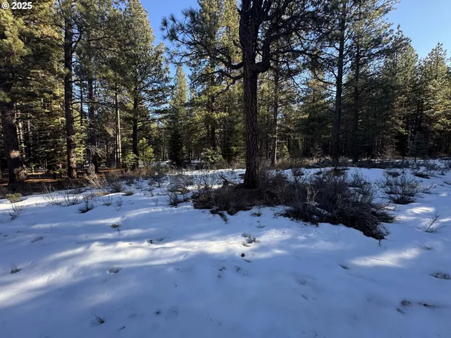 a view of backyard with outdoor space