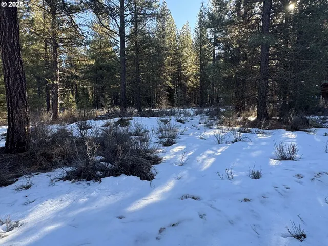a view of outdoor space with trees