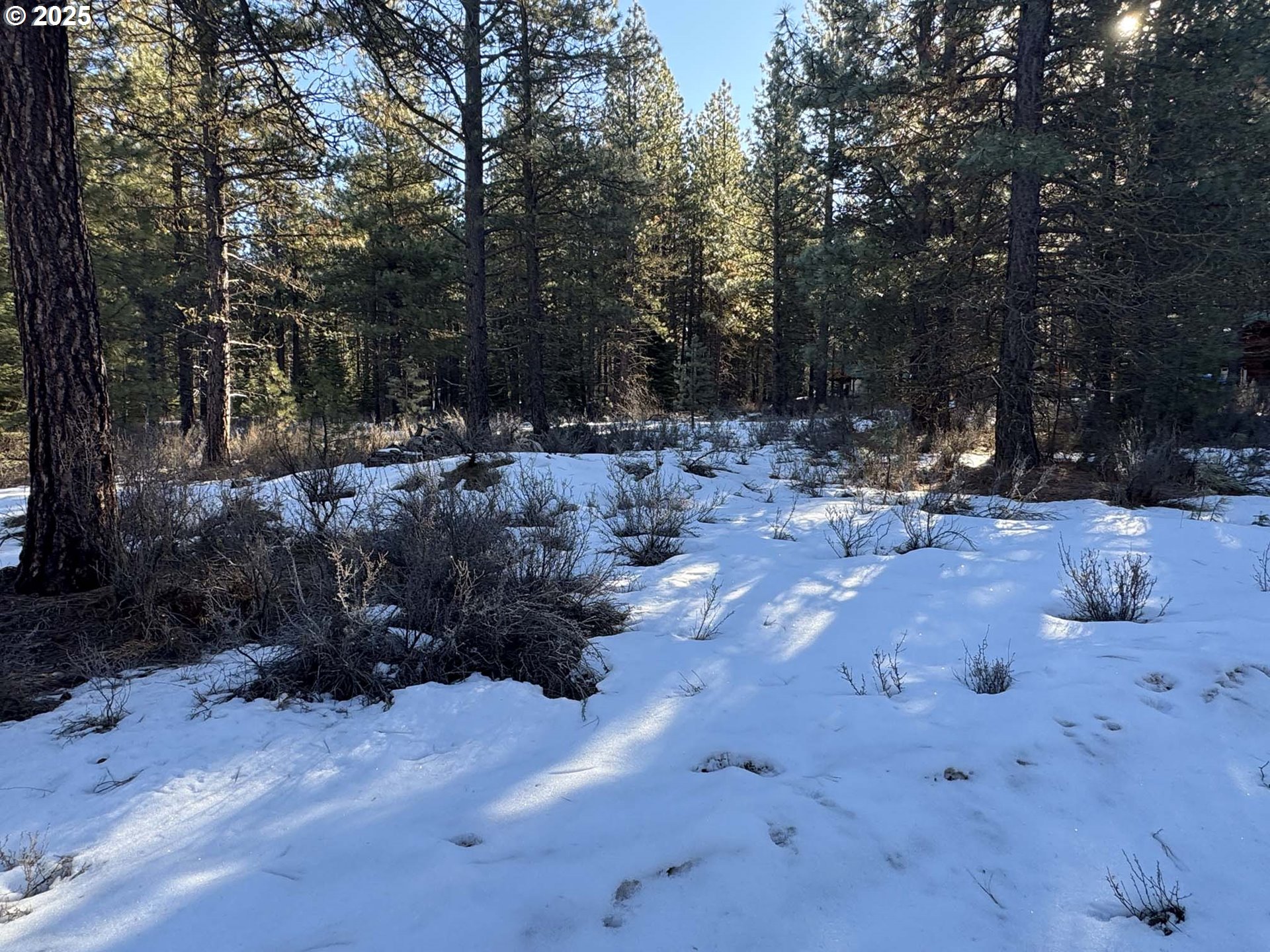 Como Way, Unit 23 Klamath Falls, OR 97601 - Photo 20 of 32