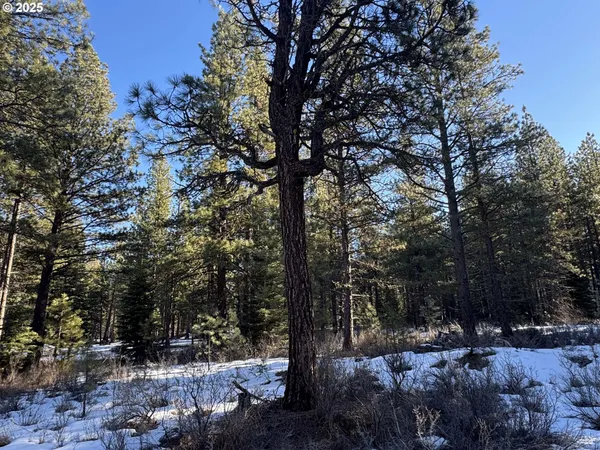 $40,000 | Como Way, Unit 23, Klamath Falls, OR 97601