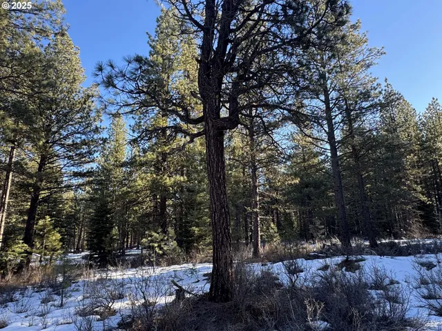 a close up of a door of the house