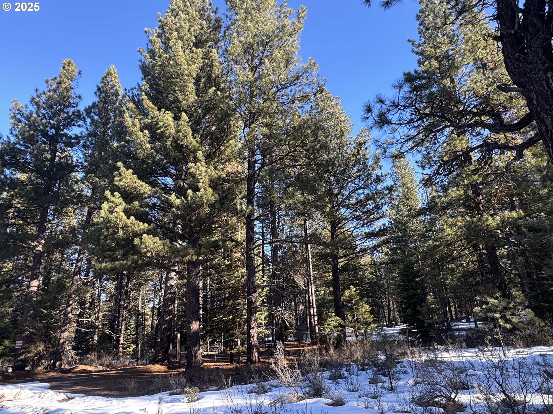 Como Way, Unit 23 Klamath Falls, OR 97601 - Photo 27 of 32