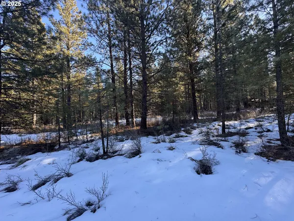 $40,000 | Como Way, Unit 23, Klamath Falls, OR 97601