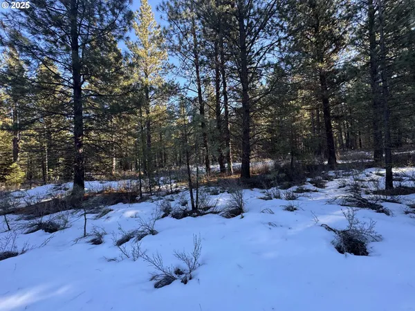 $40,000 | Como Way, Unit 23, Klamath Falls, OR 97601