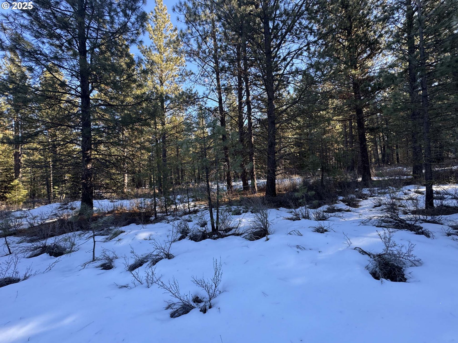 Como Way, Unit 23 Klamath Falls, OR 97601 - Photo 6 of 32