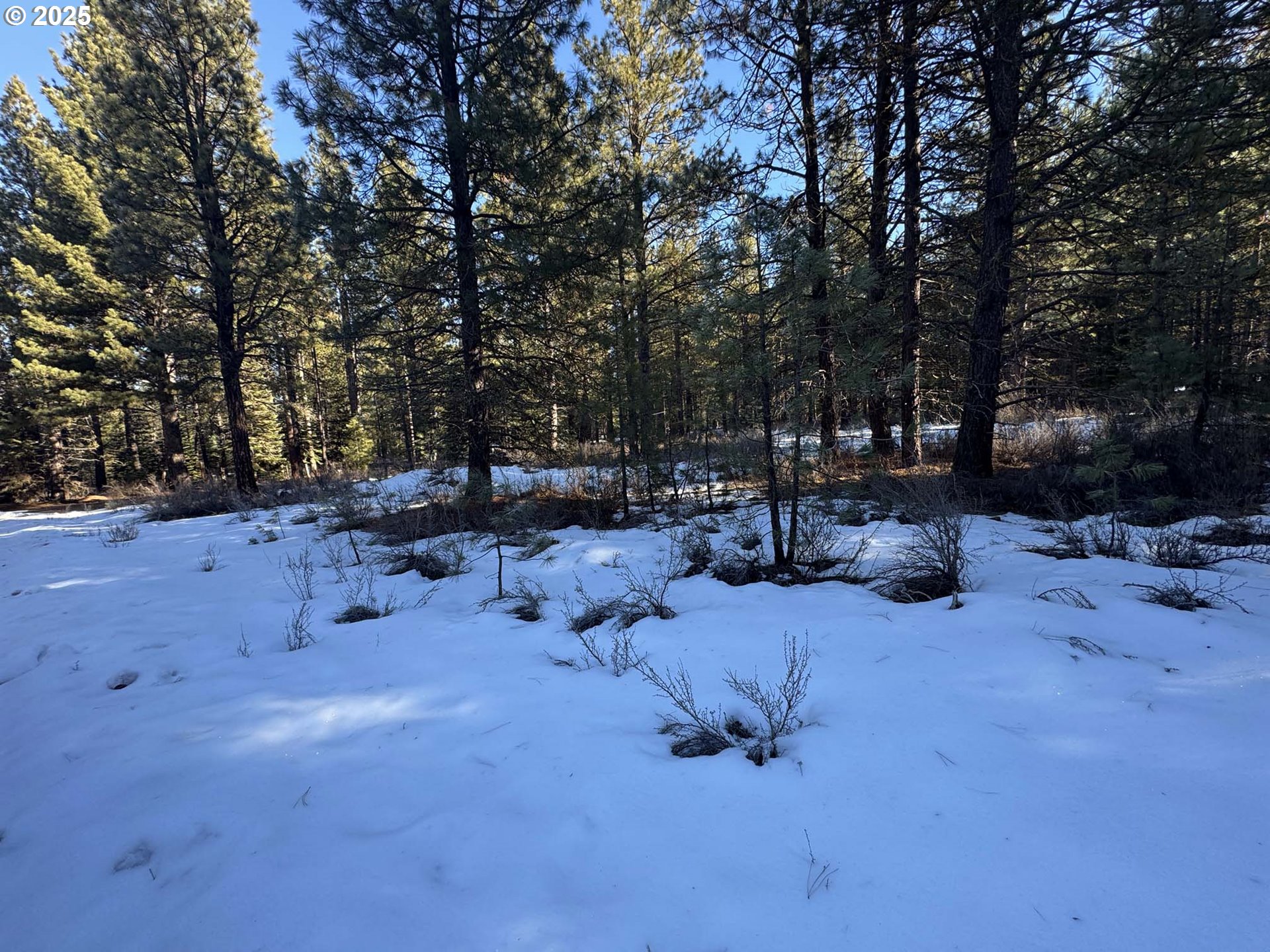 Como Way, Unit 23 Klamath Falls, OR 97601 - Photo 7 of 32