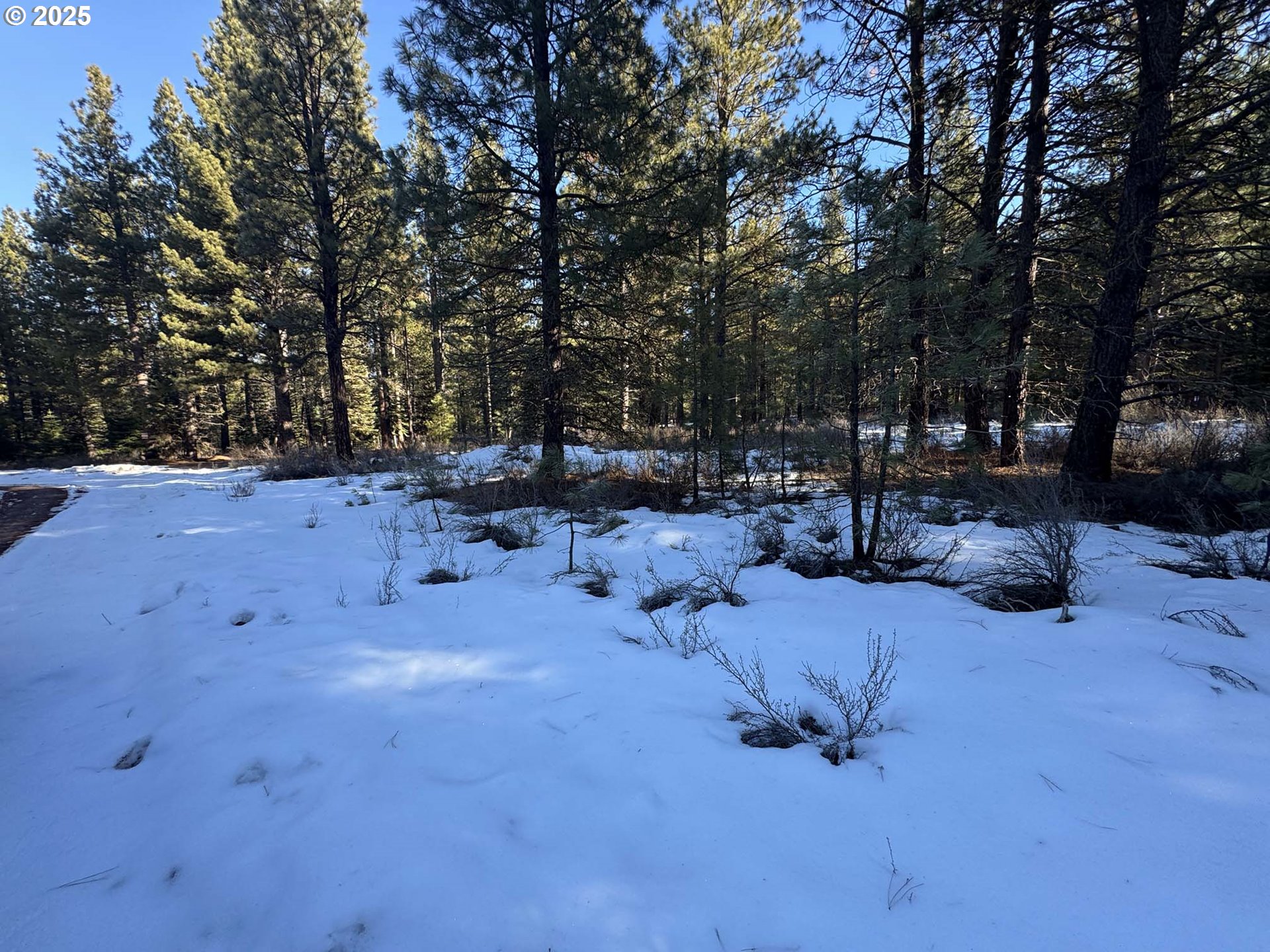 Como Way, Unit 23 Klamath Falls, OR 97601 - Photo 8 of 32