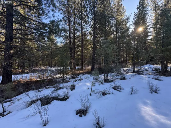 $40,000 | Como Way, Unit 23, Klamath Falls, OR 97601