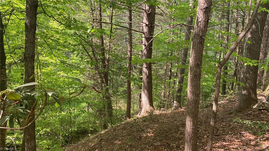 Tbd Rocky Road Lenoir, NC 28645 - Photo 15 of 24 Gallery Image 15