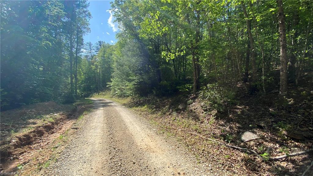 Tbd Rocky Road Lenoir, NC 28645 - Photo 18 of 24 Private Lane